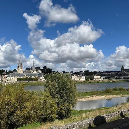 Gites Des Cygnes Vue Sur Loire Et Linge Inclus Блоа Екстериор снимка