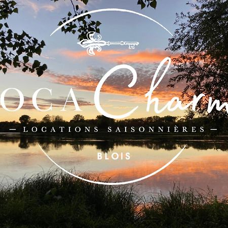 Gites Des Cygnes Vue Sur Loire Et Linge Inclus Блоа Екстериор снимка
